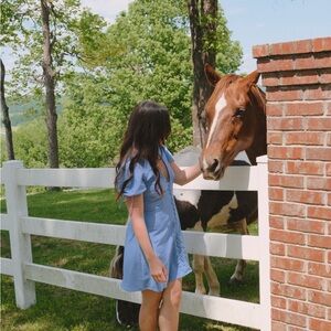 Dainty Blue Belle Short Sleeve Dress